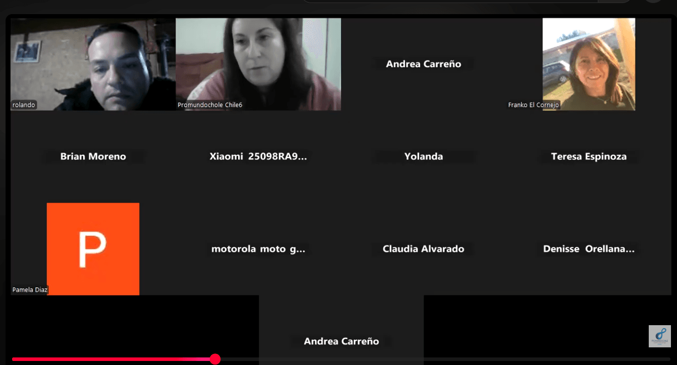 Vista referencial de una clase en vivo